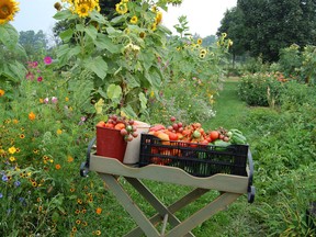 Many gardeners, including Mark Cullen, eat more healthy food when it’s harvested from their gardens.