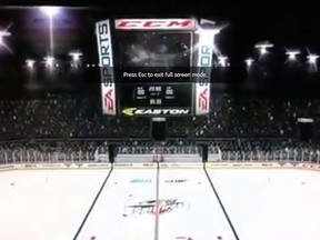 This screen grab shows the WFCU Centre on EA Sports NHL 2014.