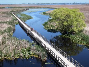 Rand McNally has named Point Pelee's boardwalk as one of America's "Best of the Road"   (JASON KRYK/ THE WINDSOR STAR)