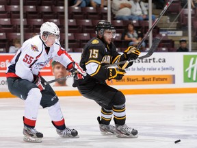 Windsor's Cameron Hughes, left and Sarnia's Davis Brown battle in OHL action Saturday (Metcalfe Photograpy)