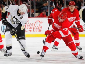 Detroit's Cory Emmerton, right, battles Pittsburgh's Evgeni Malkin during pre-season action at Joe Louis Arena on September 25, 2013 in Detroit, Michigan. (Photo by Gregory Shamus/Getty Images)