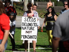 Files: In October, local activists participated in a March Against Monsanto Windsor-Essex County, which was part of a worldwide day of protest against the agricultural biotech company, Monsanto, Saturday, Oct. 12, 2013. (DAX MELMER/The Windsor Star)