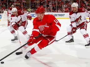 Detroit's Daniel Alfredsson, centre, is checked by Phoenix's Keith Yandle, left, and Derek Morris at Joe Louis Arena. (Photo by Gregory Shamus/Getty Images)