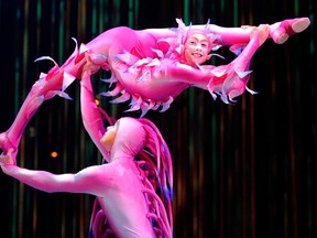 Cirque du Soleil performs onstage during Varekai at Carpa Santa in Mexico City, on Sept. 18, 2013. (ALFREDO ESTRELLA/AFP/Getty Images)