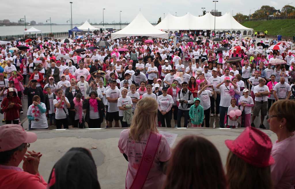 Pink Detroit Lions Breast Cancer Awareness Fight For A Cure shirt