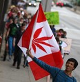 Approximately 150 people took part in the first Windsor Marijuana March in downtown Windsor, Saturday, Oct. 5, 2013. Letter writer Nancy Demers of Tilbury says the use of a marijuana motif is disrespectful to the Canadian flag.(DAX MELMER/The Windsor Star)