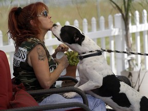 In this Oct. 10, 2013, photo, Mack Eldridge, right, an inmate at Dixon Correctional Institute in Jackson, La., on a work release program, walks a pit bull as Tia Maria Torres (not shown), star of Animal Planet’s “Pit Bulls and Parolees,” films an episode show's fifth season in New Orleans. Torres, who runs the nation’s largest pit bull rescue center and has long paired abused and abandoned dogs with the parolees who care for them, has moved her long-running reality TV series from southern California to New Orleans, where hurricanes and overbreeding have left many pit bulls abandoned or abused. (AP Photo/Gerald Herbert)