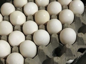 File photo of eggs. (Windsor Star files)