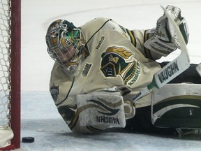 London goalie Anthony Stolarz makes a save against the Spitfires at the WFCU Centre. (DAX MELMER/The Windsor Star)