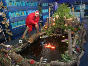 Dennis Radosz, shown, has opened an aquarium shop at 481 Ouellette Ave. in Windsor, Ont. with a grant from the DWBIA. (DAN JANISSE/The Windsor Star)