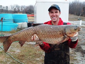 U.S. Geological Survey technician, Tommy Goszewski, holds a grass carp taken from a pond at an agency lab in Columbia, Mo., in spring 2013. Scientists have discovered that grass carp have reproduced successfully in the Great Lakes watershed. (Courtesy of U.S. Geological Survey)