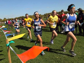 Runners compete a the WECSSAA cross-country championships at Malden Park in Windsor on Wednesday, October 16, 2013. (TYLER BROWNBRIDGE/The Windsor Star)