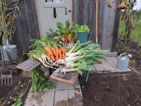 Your garden continues to produce carrots, leeks, parsley and rhubarb into fall.