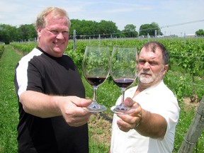 John Fancsy, owner of Viewpointe Estate Winery, and viticulturalist Peter Pfeifer near Colchester on June 5, 2010 . (Windsor Star files)