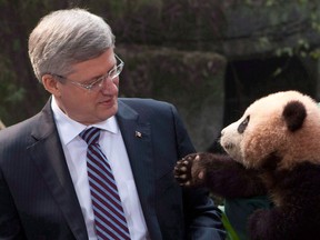 A panda reaches for Prime Minister Stephen Harper in 2012. A pair of giant pandas from China are now on loan to the Toronto Zoo. (THE CANADIAN PRESS/Adrian Wyld)