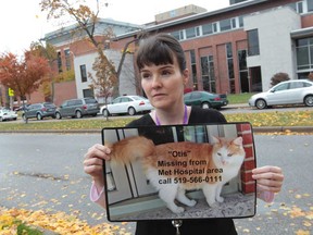 Lynnette Ridley holds up a poster for a missing cat named Otis on November 6, 2013 in Windsor, Ontario.  (JASON KRYK/The Windsor Star)