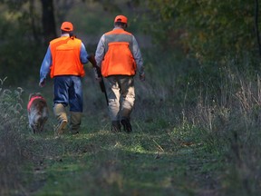 File photo of Pelee Island Pheasant Hunt. (Windsor Star files)