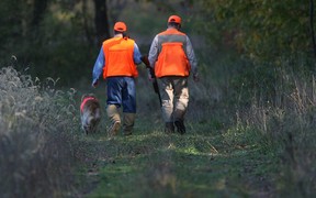 File photo of Pelee Island Pheasant Hunt. (Windsor Star files)