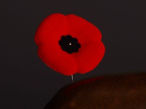 A poppy is seen in this file photo.