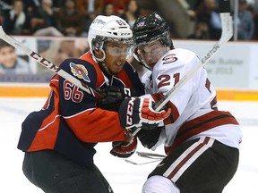 Windsor's Josh Ho-Sang, left, battles Guelph's Brock McGinn during OHL action Friday in Guelph. (Photo courtesy Tony Saxon/Guelph Mercury)