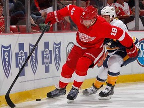 Detroit's Joakim Andersson, left, battles Nashville's Shea Weber at Joe Louis Arena on November 19, 2013 in Detroit. (Gregory Shamus/Getty Images)