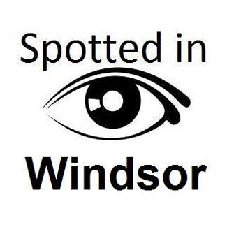 spotted_in_windsor03a