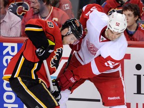 Detroit's Jonathan Ericsson, right, checks Calgary's Matt Stajan in Calgary. (THE CANADIAN PRESS/Larry MacDougal)