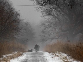 Doug Jacobs and his one-year-old Border Collie/Burmese mountain dog mix, Tilly, walk through the fog at the Ojibway Prairie Provincial Nature Reserve, Friday, Dec. 20, 2013. (DAX MELMER/The Windsor Star)