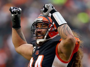Cincinnati's Domata Peko celebrates during the 34-17 win over the Baltimore Ravens at Paul Brown Stadium. (Photo by Andy Lyons/Getty Images)