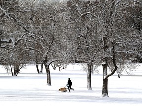 (A woman runs in the snow with her dogs in Cheesman Park in Denver on Tuesday, Jan. 29, 2013. A winter storm moved through Colorado on Tuesday dumping as much as two feet of snow in the mountains and four inches in Denver. (AP Photo/Ed Andrieski)