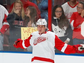 Ex-Panther Stephen Weiss of the Detroit Red Wings stands in front of fans prior to the game at the BB&T Center on December 10, 2013 in Sunrise, Fla. (Joel Auerbach/Getty Images)