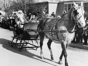 Pandemonium reigned supreme at Sacred Heart School in LaSalle Friday, Dec. 20, 1980 as Saint Nick descended on a brisk northeast breeze to pay a visit. Teachers and about 650 students braved the cold to greet the jolly old fellow and get one of the 1,000 suckers he threw to spectators. Santa's reindeer must have been ill, though, because a horse named Cricket pulled his sleigh, which was equipped with tiny wheels. The sleigh was so crowded with goodies that his elf was relegated to riding horseback alongside the sleigh. With the weatherman predicting a 74 per cent chance of at least a trace of snow on Christmas day, Santa may be able to remove his wheels in favour of the real thing. (Bev MacKenzie/Windsor Star)