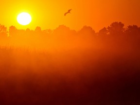 Sunrise always brings optimism to a new day. A positive attitude goes a long way to a happier and healthier life. (PATRICK PLEUL / AFP / Getty Images)