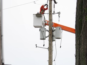 An Essex Power Lines employee cuts down tree branches that fell on a transformer in front of Dominion Golf and Country Club, Monday, July 10, 2011.  The tree, which fell from powerful winds, caused three lines to come down and caused power outages to hundreds of homes.  (DAX MELMER / The Windsor Star)