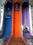 Kids take a ride down the Whizzard at the official opening of the Adventure Bay Family Water Park in downtown Windsor, Saturday, Jan. 18, 2014.   (DAX MELMER/The Windsor Star)