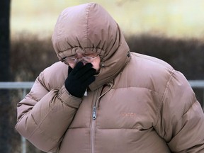 A bundled up pedestrian walks in downtown Windsor, Ont. Friday, Jan. 24, 2014, on a frigid and windy day. (DAN JANISSE/The Windsor Star)