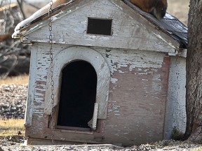 File photo of a doghouse. (Windsor Star files)