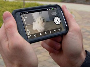 A smatphone user watches a video on his Motorola device. A new survey of youths in Grades 4 through 11 finds that today's parents are enforcing fewer rules concerning Internet usage. (AP Photo/Motorola)