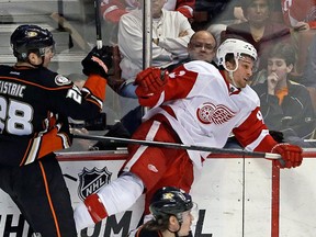 Anaheim Ducks defenceman Mark Fistric (28) and Detroit Red Wings centre Darren Helm (43) get tangled up in the third period of an NHL hockey game in Anaheim, Calif., Sunday, Jan. 12, 2014. (AP Photo/Reed Saxon)