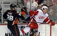 Anaheim Ducks defenceman Mark Fistric (28) and Detroit Red Wings centre Darren Helm (43) get tangled up in the third period of an NHL hockey game in Anaheim, Calif., Sunday, Jan. 12, 2014. (AP Photo/Reed Saxon)