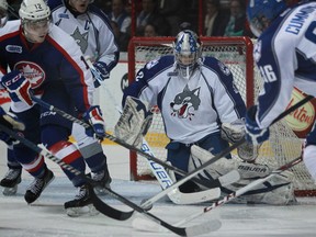 Sudbury goalie, Frank Palazzese, centre, keeps an eye on the puck during a scramble in front of his net as the Windsor Spitfires host the Sudbury Wolves at the WFCU Centre, Sunday, Jan. 19, 2014.  Windsor defeated Sudbury 3-1.   (DAX MELMER/The Windsor Star)
