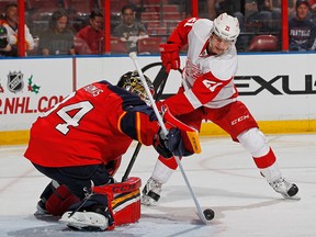 Florida goaltender Tim Thomas, left, stops a shot by Tomas Tatar of the Red Wings at the BB&T Center in Sunrise, Florida. (Photo by Joel Auerbach/Getty Images)