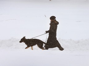 Your dog needs exercise, no matter what Mother Nature throws at you. (Scott Olson / Getty Images)