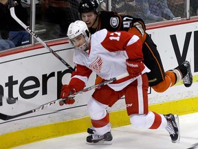 Anaheim's Hampus Lindholm, right, chases Detroit's Patrick Eaves in Anaheim, Calif., Sunday, Jan. 12, 2014. (AP Photo/Reed Saxon)