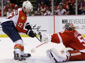 Detroit goalie Jonas Gustavsson, right, catches a shot by Florida's Jesse Winchester in Detroit, Sunday, Jan. 26, 2014. (AP Photo/Carlos Osorio)