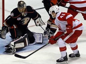 Anaheim goalie Jonas Hiller, left, defends Detroit's Luke Glendening in Anaheim, Calif., Sunday, Jan. 12, 2014. (AP Photo/Reed Saxon)