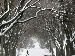 A lone pedestrian in a Windsor winter scene from a 2007 file photo. (Dan Janisse / The Windsor Star)