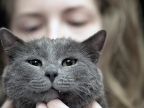 There may be a physical reason for Trixie to bolt out of the room while sitting comfy with you on the couch. (Vadim Ghirda / Associated Press files)