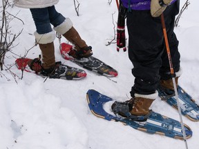 There is snowshoeing and cross-country skiing being offered at Point Pelee National  Park and at any Essex County Conservation Area, which are open from dawn to dusk on Family Day, Monday, Feb. 17, 2014. (Windsor Star files)