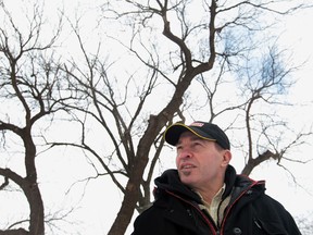 Frank Butler is on the City of Windsor's environmental committee and he said on Monday, Feb. 10, 2014, that he is hoping the city will pass a bylaw which would require people to obtain a permit in order to remove trees, even on private property. (JASON KRYK/The Windsor Star)